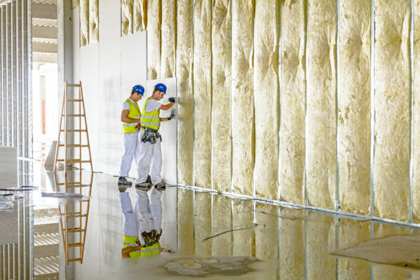 Best Spray Foam Insulation in Leoti, KS